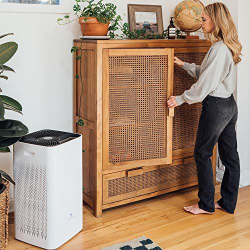 Medify MA-112 Air Purifier with H13 True HEPA Filter | 2,500 sq ft Coverage | for Smoke, Smokers, Dust, Odors, Pollen, Pet Dander | Quiet 99.9% Removal to 0.1 Microns | White, 1-Pack